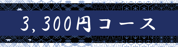 3300円コース