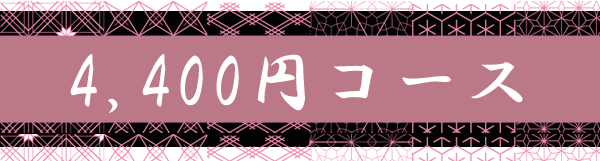 4400円コース